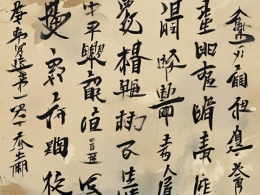 赵孟頫天行健书法赏析，龙蛇舞动，墨韵风华