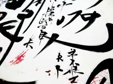 硬笔书法艺术新视界，动态图解书法魅力