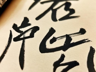 凌云志意蕴深——硬笔行书书法作品赏析