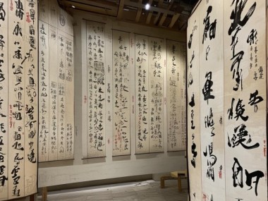 黑龙江省书法家协会，传承与创新共融，书法艺术新篇章