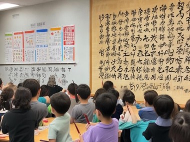 四年级书法理论题库，小学生书法素养提升指南