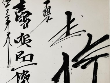 墨舞丹青，气韵流长——行书三等奖佳作赏析之旅