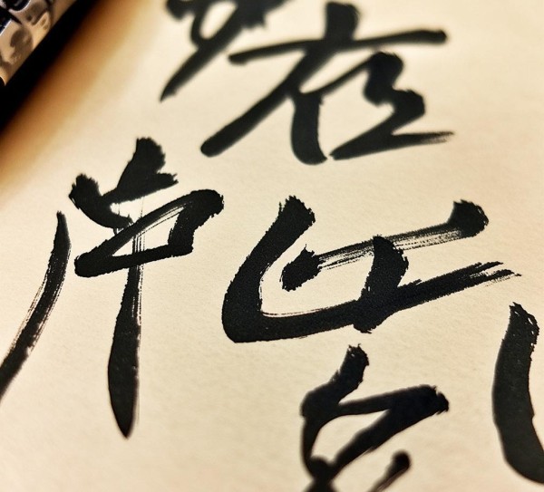 凌云志意蕴深——硬笔行书书法作品赏析,凌云志意蕴深——硬笔行书书法作品赏析,书法艺术,硬笔书法,第1张